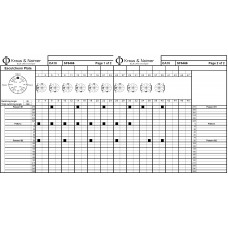 Переключатель CA10 SF5466-600 EF +F*SFA870